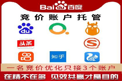 sem代运营机构成功案例：打造高效广告投放策略