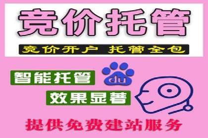 成功案例解析：SEO与SEM协同营销策略